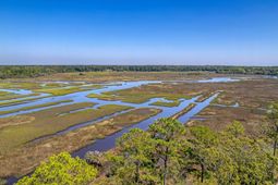 110 Peninsula Drive photo 4