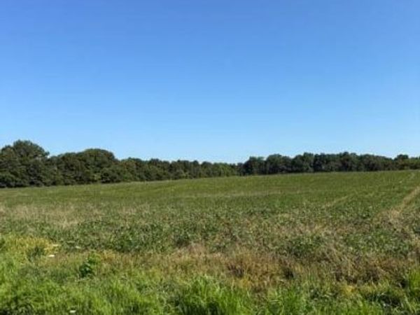 RR E 2300 Avenue N, Brownstown, IL 62418