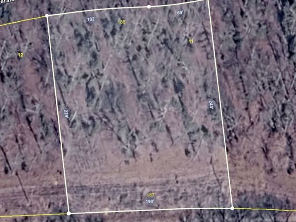 0 Fitzgerald Dr, Erin, TN 37061