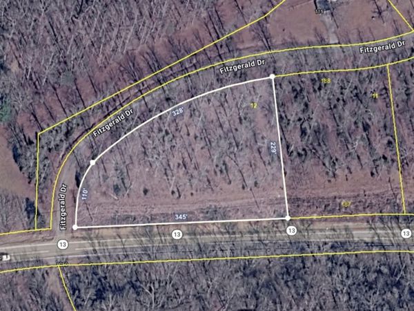 0 Fitzgerald Dr, Erin, TN 37061