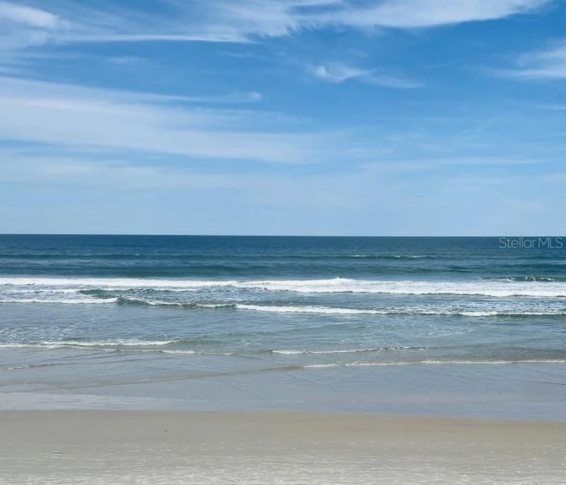 3224 Needle Palm Drive, Edgewater, FL 32141 Photo