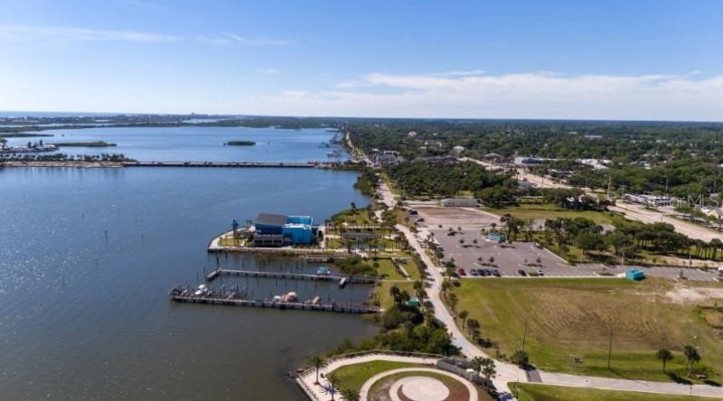 3224 Needle Palm Drive, Edgewater, FL 32141 Photo