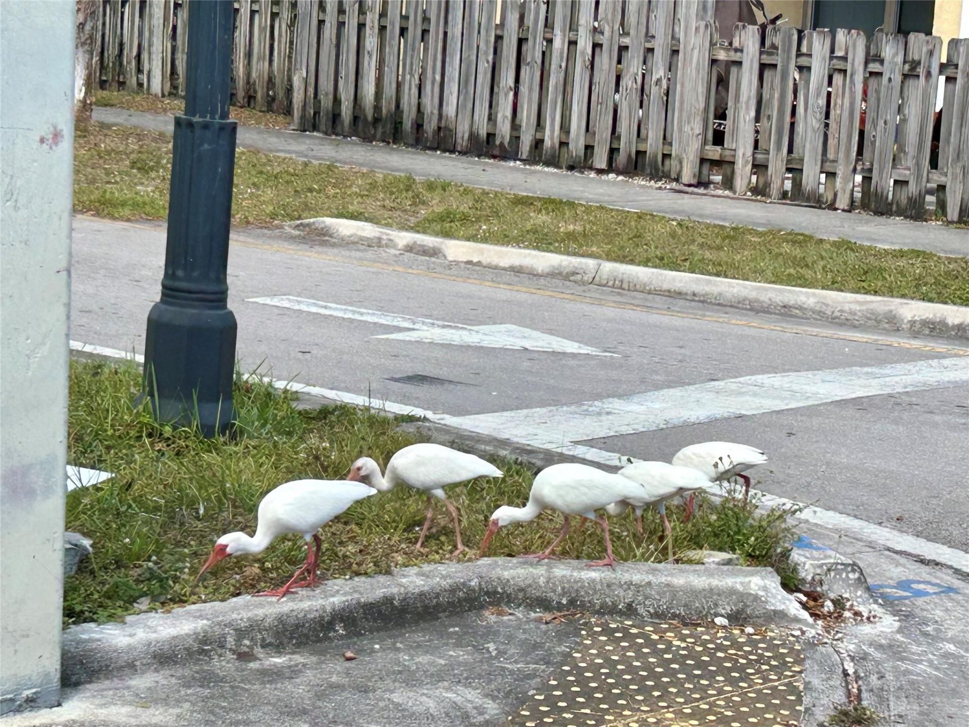 1412 NW 2nd Avenue, Fort Lauderdale, FL 33311 Photo