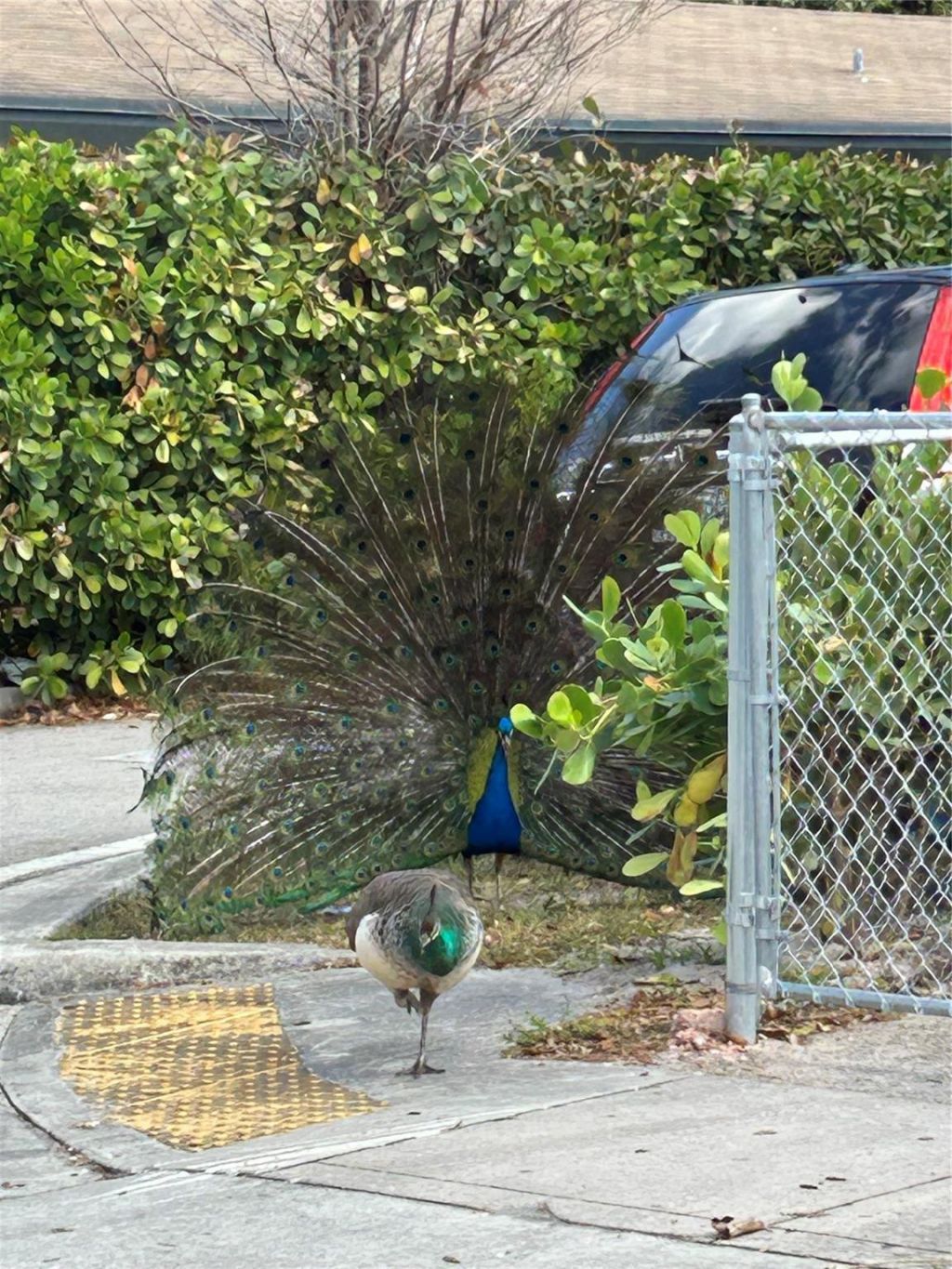 1412 NW 2nd Avenue, Fort Lauderdale, FL 33311 Photo