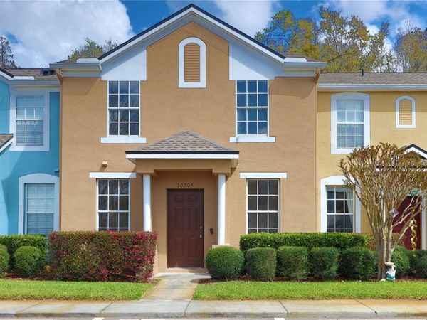 30205 SWINFORD LANE, WESLEY CHAPEL, FL 33543