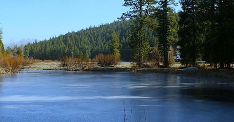 1000 Golden Feather Ranch Road, Graeagle, CA 00000 Photo