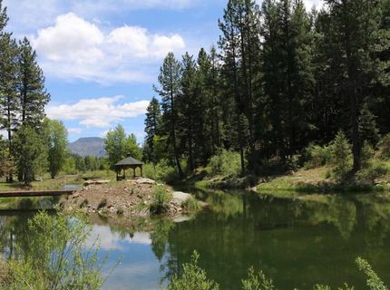 1000 Golden Feather Ranch Road, Graeagle, CA 00000 Photo