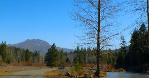 1000 Golden Feather Ranch Road, Graeagle, CA 00000 Photo