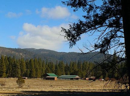 1000 Golden Feather Ranch Road, Graeagle, CA 00000 Photo