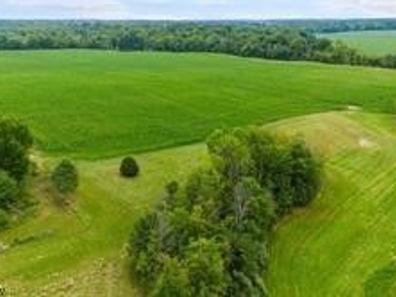 26479 State Route 58, Wellington, OH 44090 Photo 11