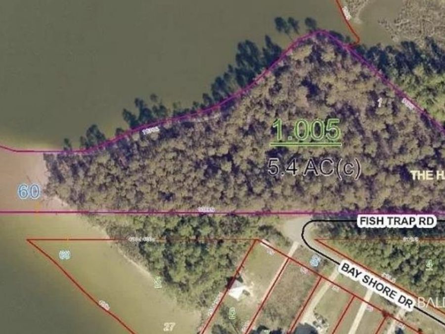 Property Image 11
