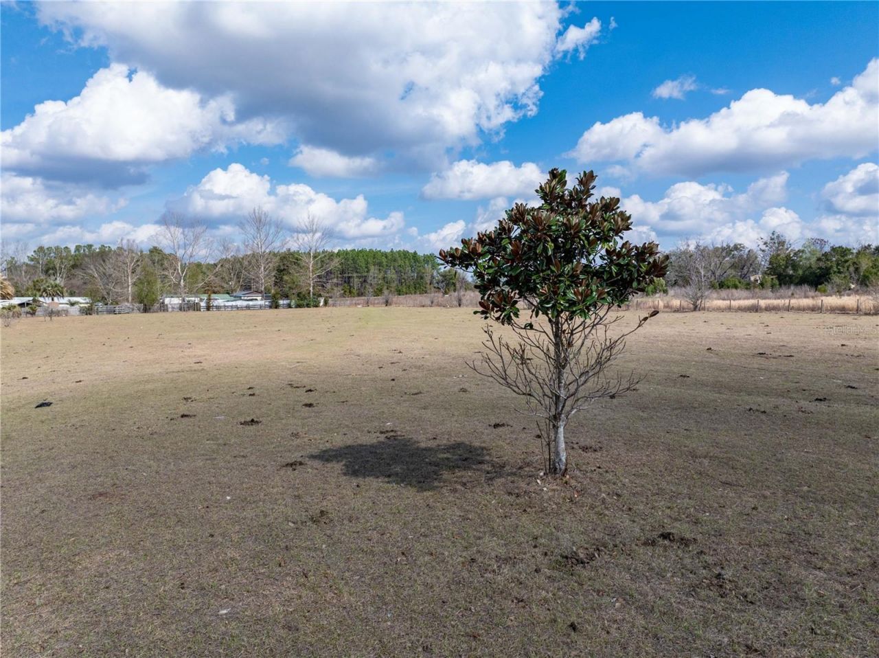 3378 W State Road 238, Lake Butler, FL 32054 Photo