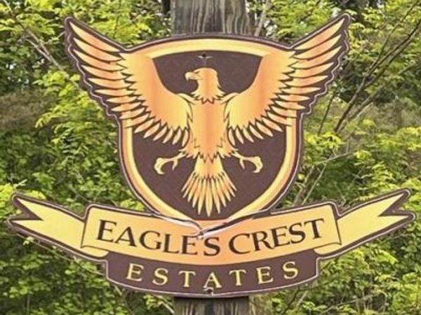 Lot 60 Cartecay View Lane, Ellijay, GA 30536