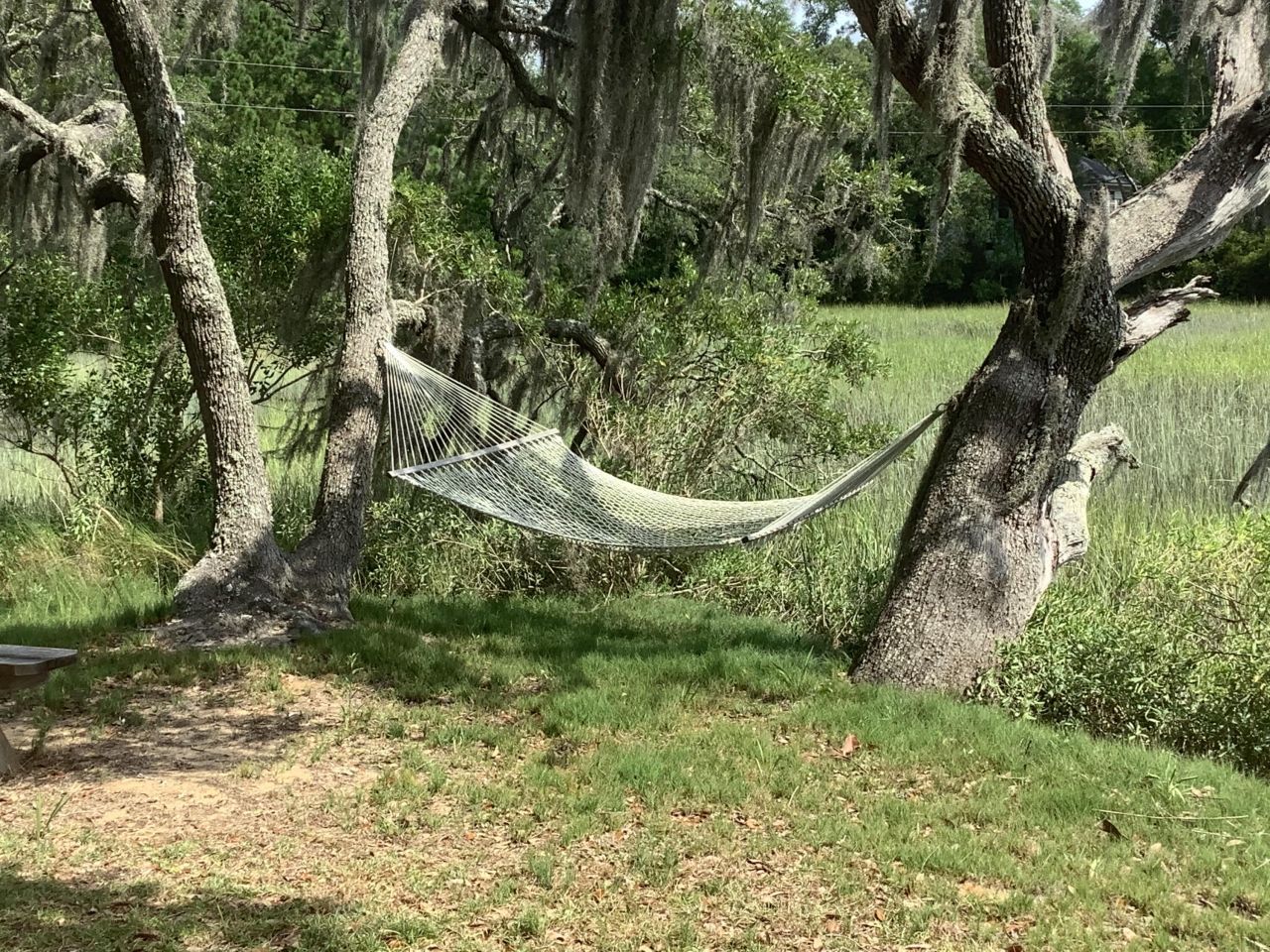 6852 Mccants Road Photo 14