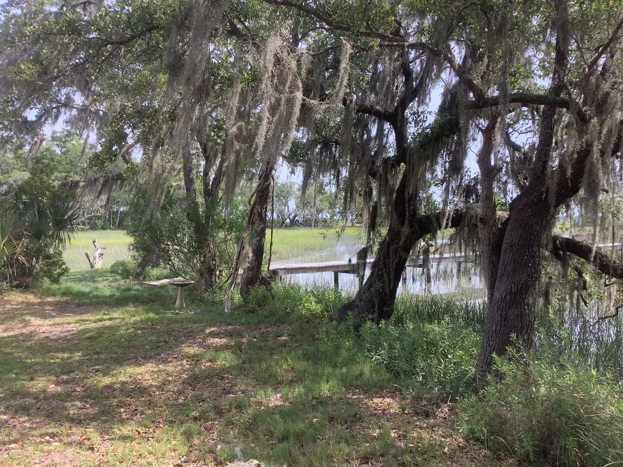 6852 Mccants Road Photo 17