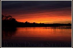 6852 Mccants Road photo 4