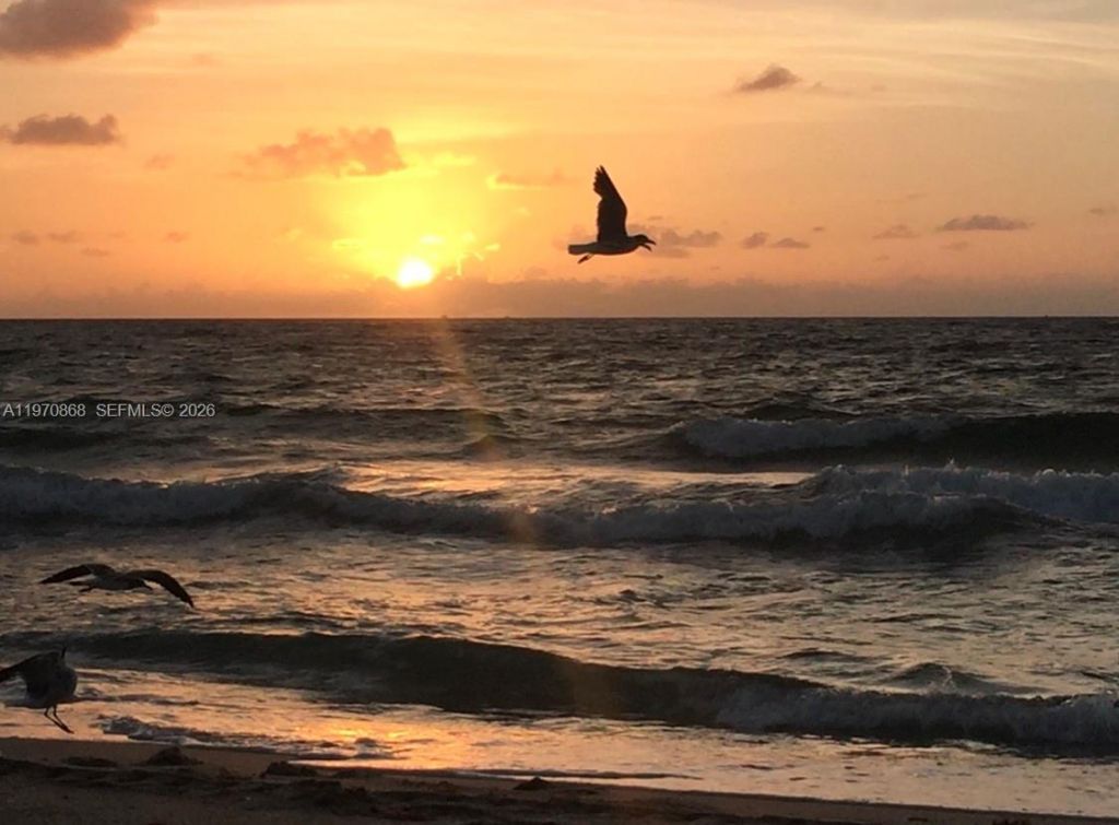 1 N Ocean Blvd, Unit 1004, Pompano Beach, FL 33062 Photo