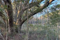 1079 London Middleton Lane photo 4