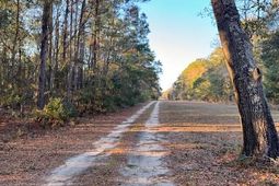 1079 London Middleton Lane photo 4