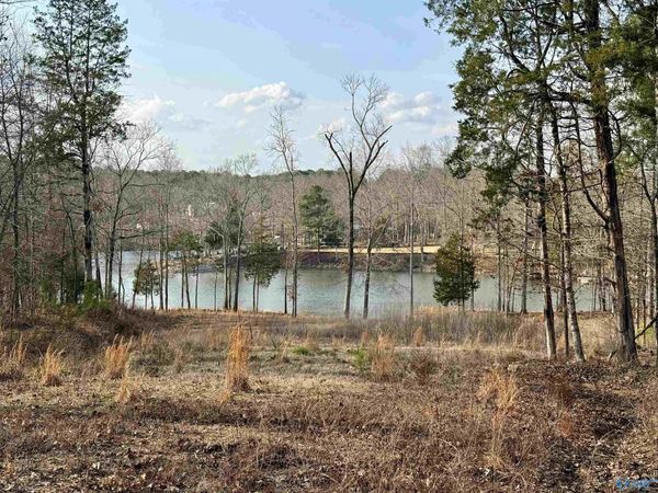 1.48 Acres River Cliff Drive, Gadsden, AL 35901