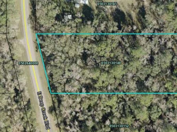 9770 E DEEP CREEK Boulevard, Hastings, FL 32145