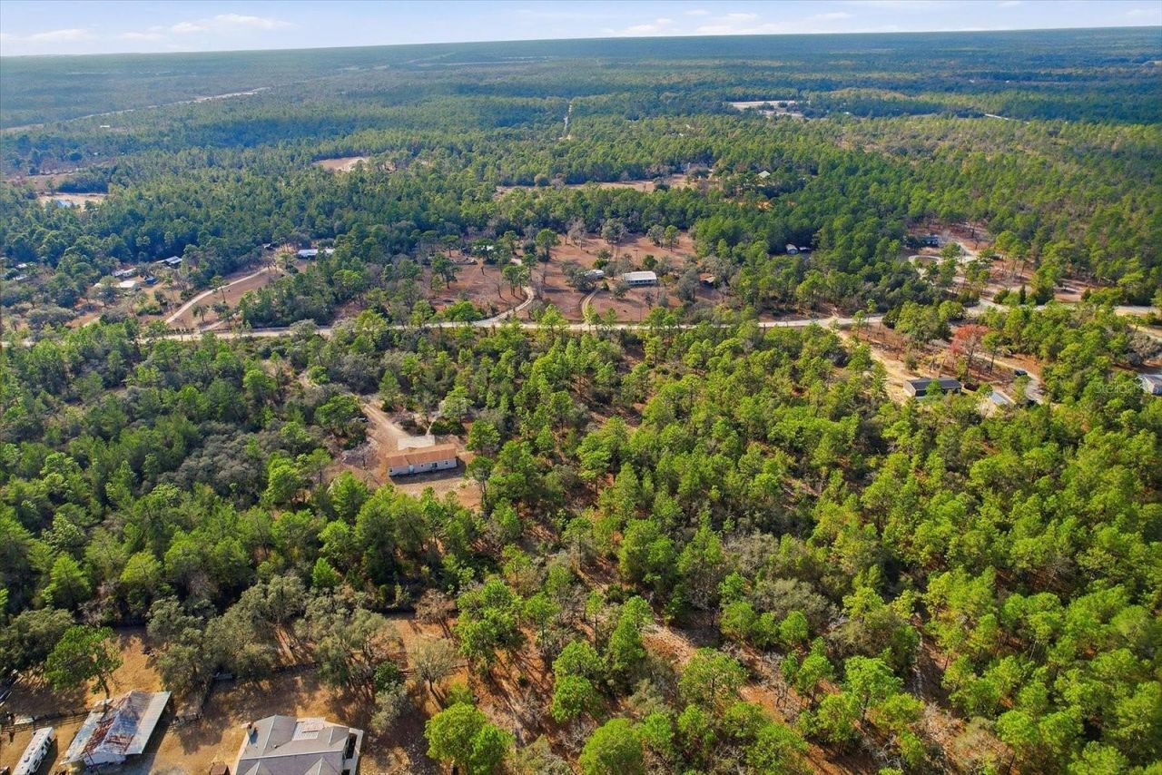 7545 N Damascus Avenue, Dunnellon, FL 34433 Photo