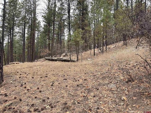 421 Forest Lakes Drive, Bayfield, CO 81122