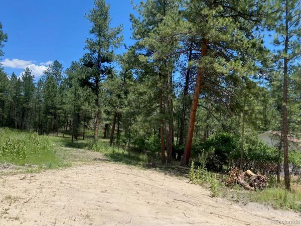 1025 Tenderfoot Drive, Larkspur, CO 80118