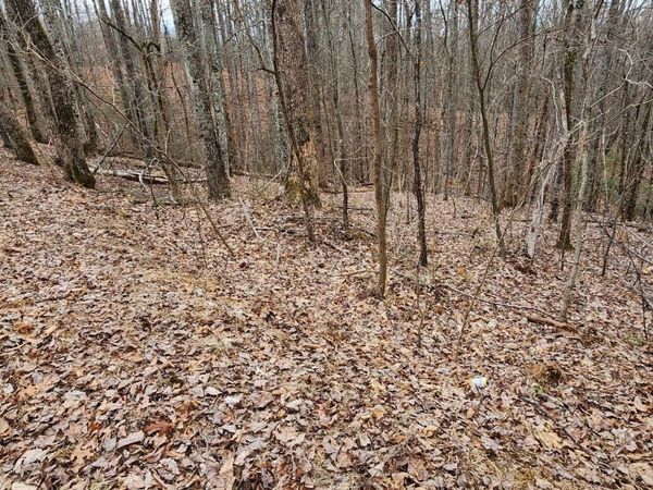 2225 King Hollow Road, Sevierville, TN 37876