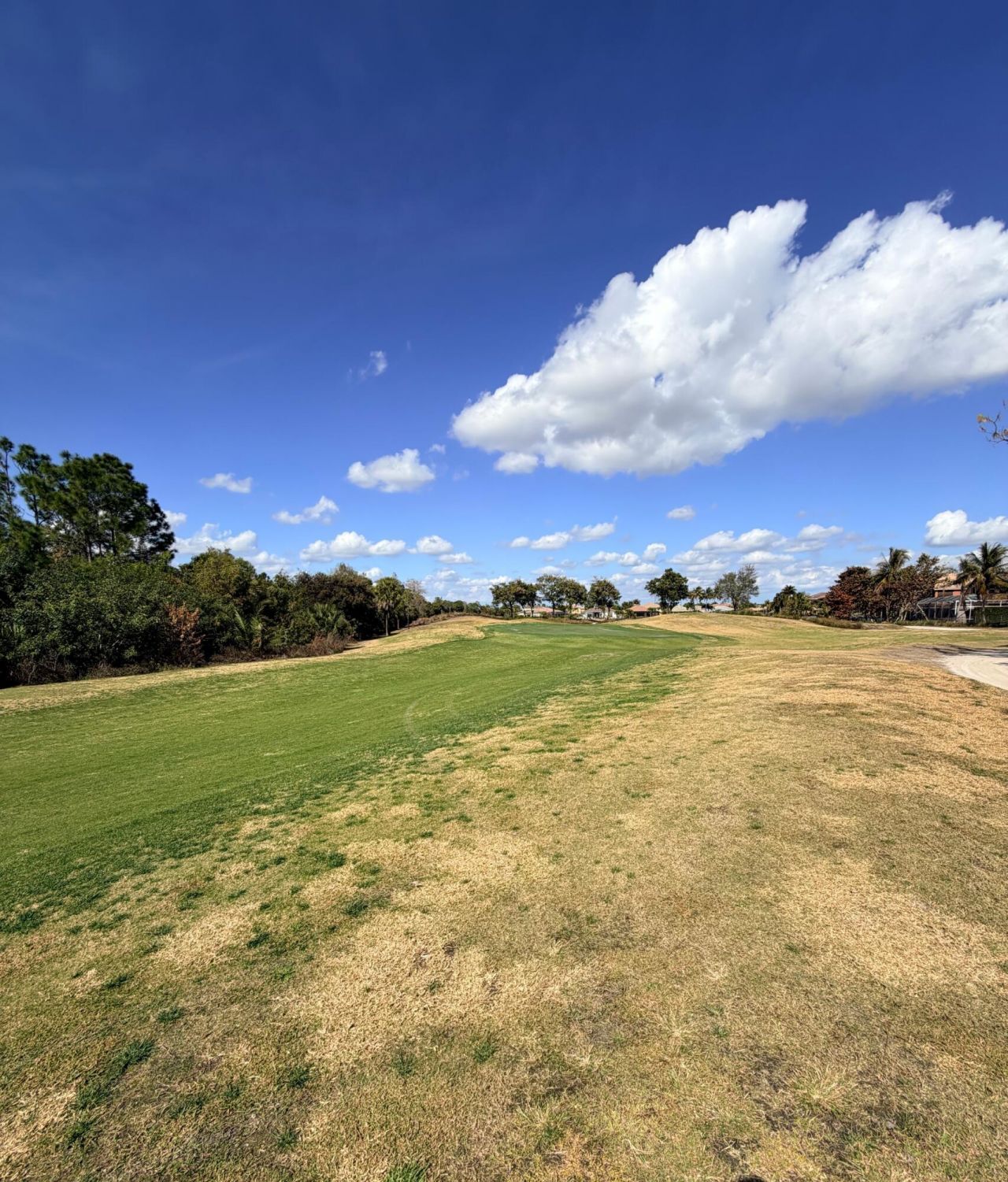 2236 Ridgewood Circle, Royal Palm Beach, FL 33411 Photo