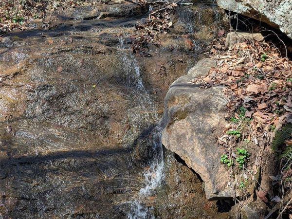 00 Bear Wallow Trail, Canton, NC 28716