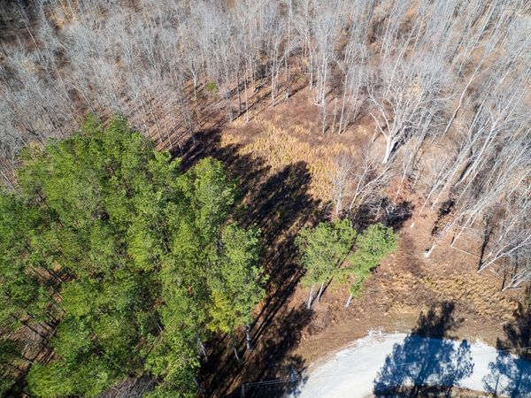 2340 Bear Hollow Drive, Waverly, TN 37185