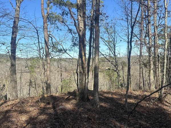 00M Walnut Valley Road, Hot Springs Village, AR 71909