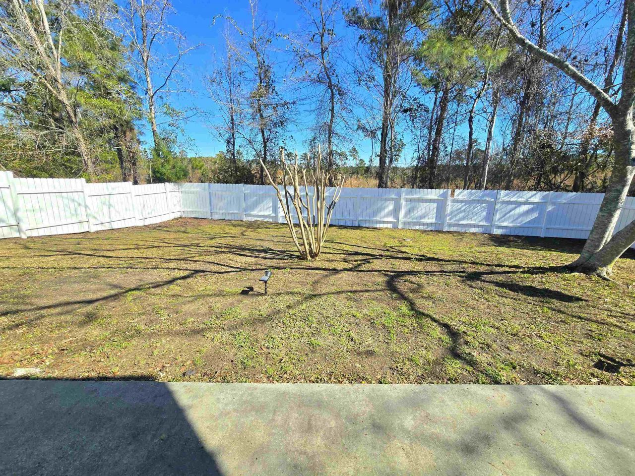 246 Seagrass Loop  Photo 14