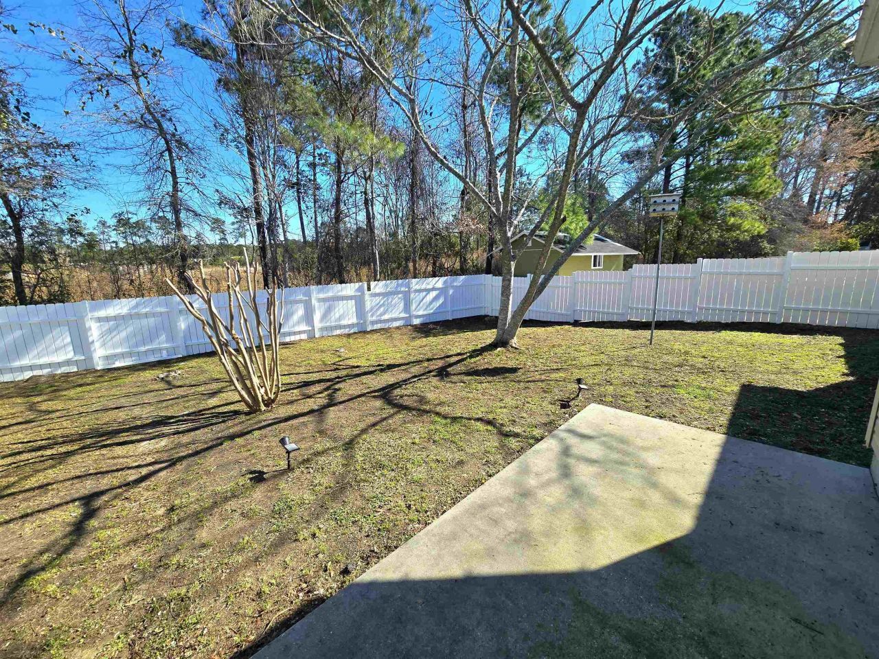 246 Seagrass Loop  Photo 16