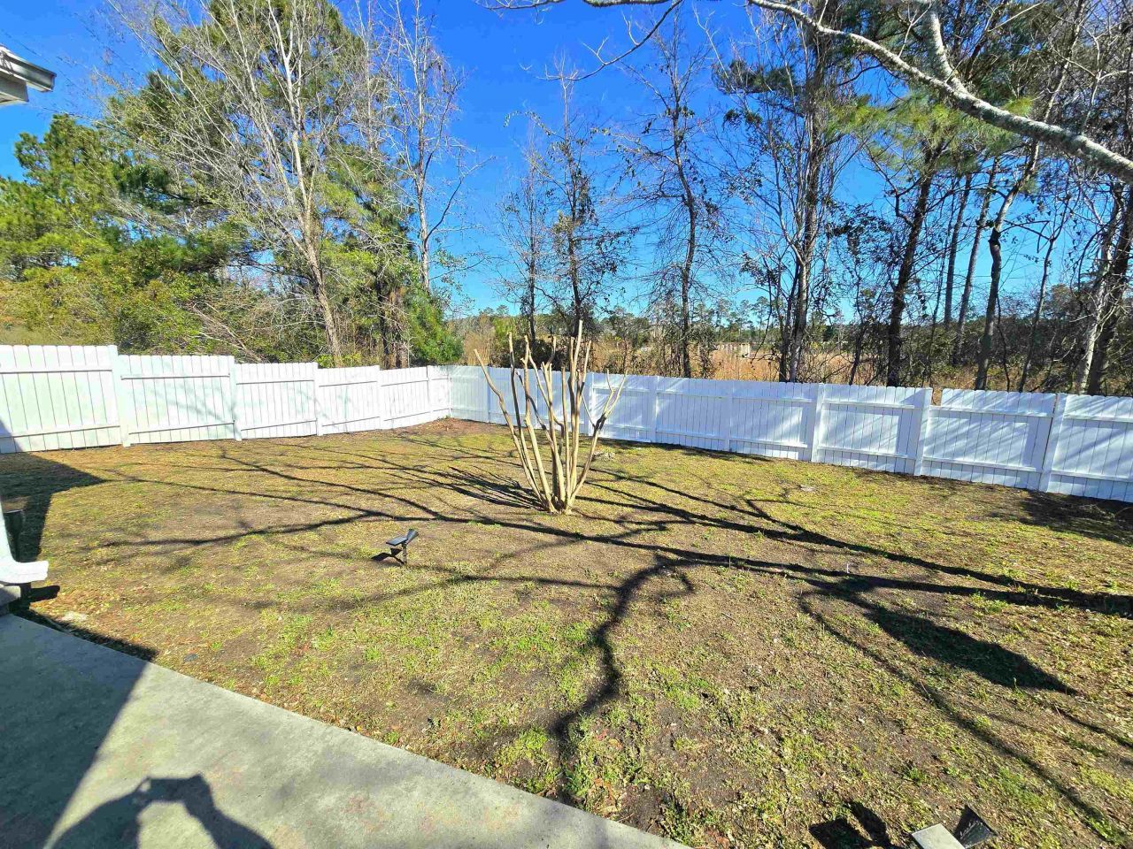 246 Seagrass Loop  Photo 17