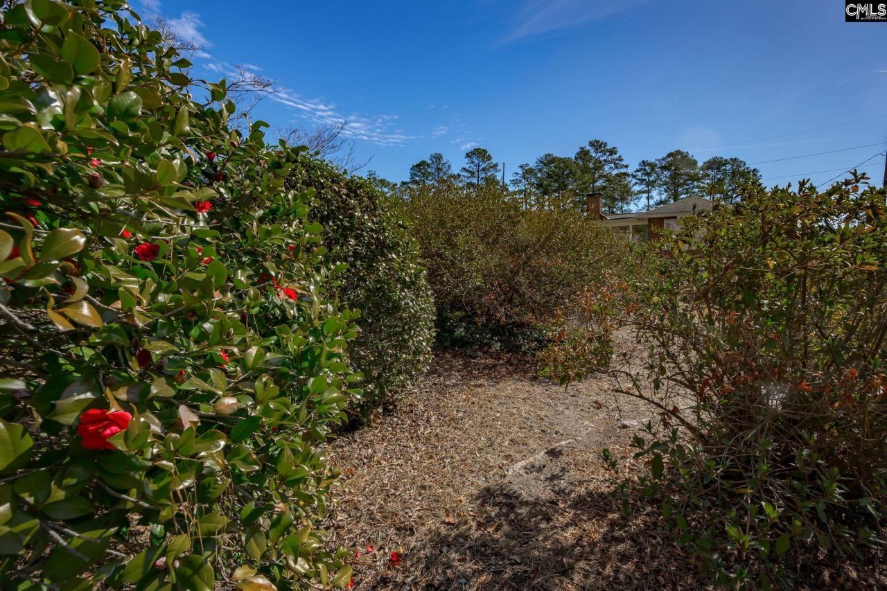 4603 Trenholm Road  Photo 30