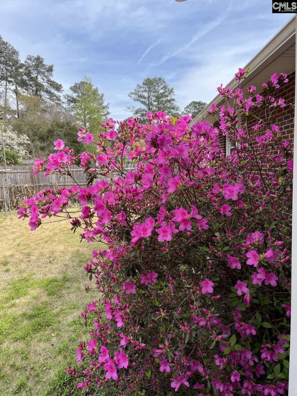 4603 Trenholm Road  Photo 31