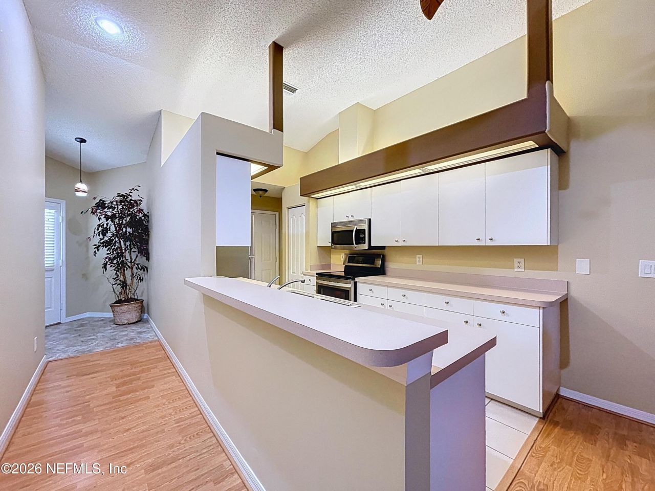 248 Hemingway Drive, Oldsmar, FL 34677 Photo