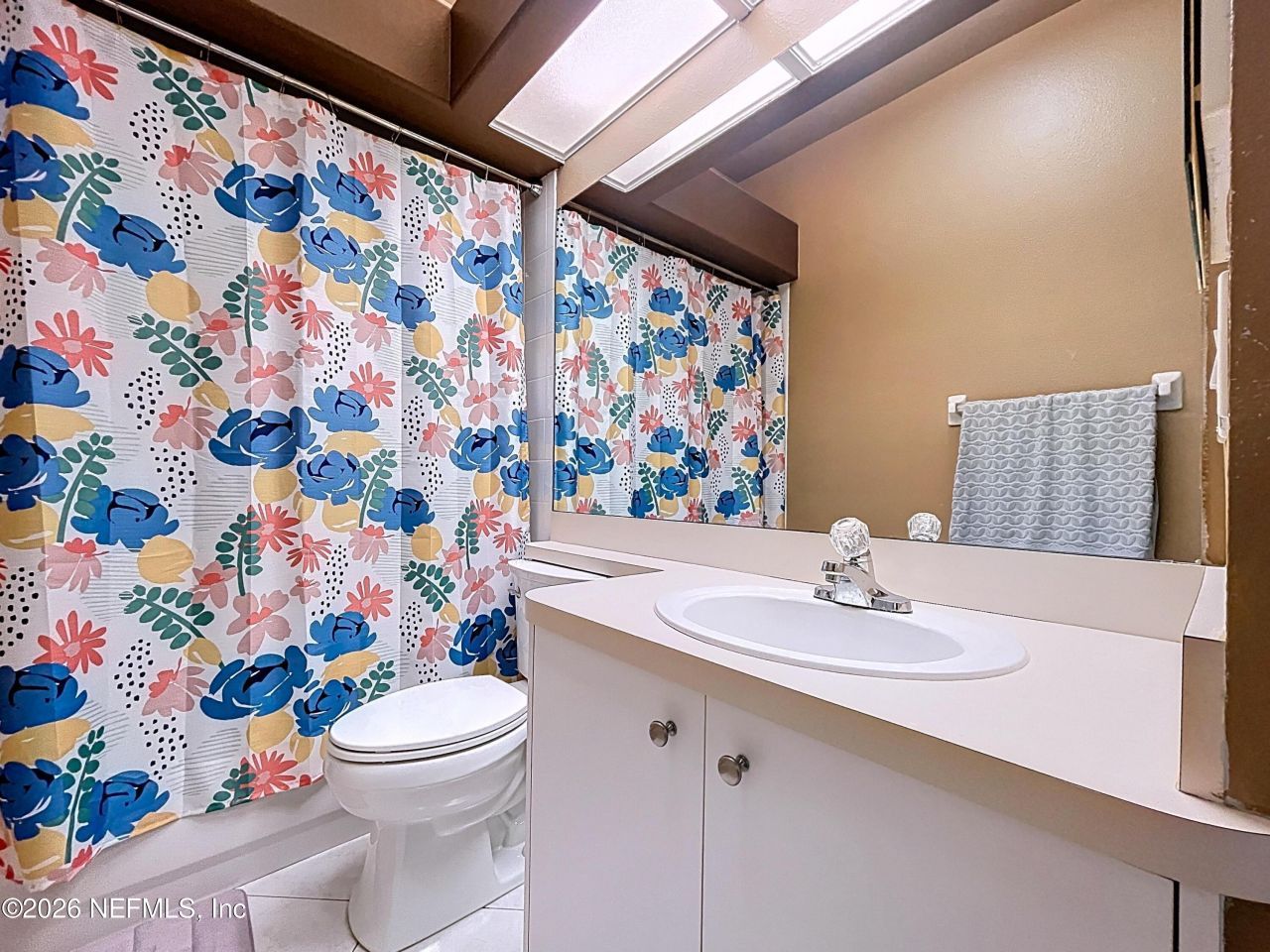 248 Hemingway Drive, Oldsmar, FL 34677 Photo