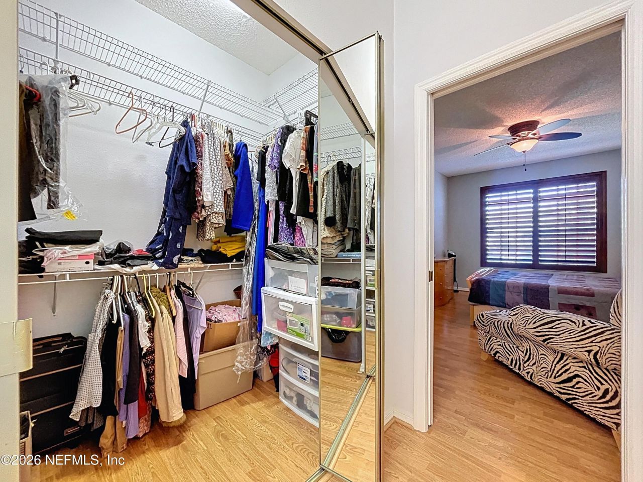 248 Hemingway Drive, Oldsmar, FL 34677 Photo