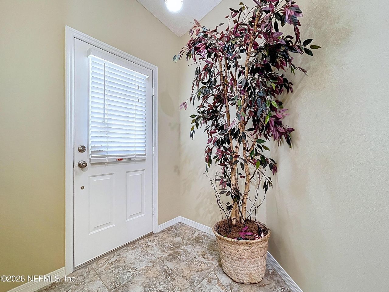 248 Hemingway Drive, Oldsmar, FL 34677 Photo