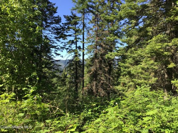 FLY CATCHER LTS 13 & 14, St. Maries, ID 83861