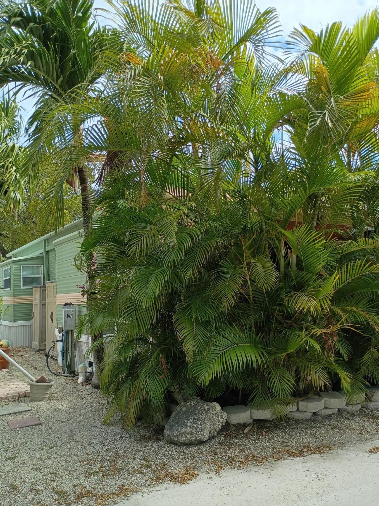 101551 Overseas Highway, Unit 147, Key Largo, FL 33037 Photo