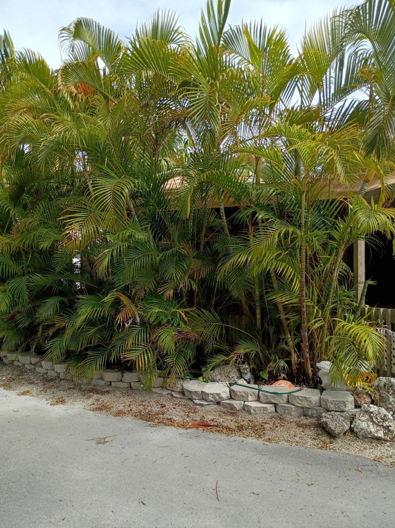 101551 Overseas Highway, Unit 147, Key Largo, FL 33037 Photo
