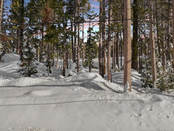 21864 Lotta Crabtree Ter, Soda Springs, CA 95728