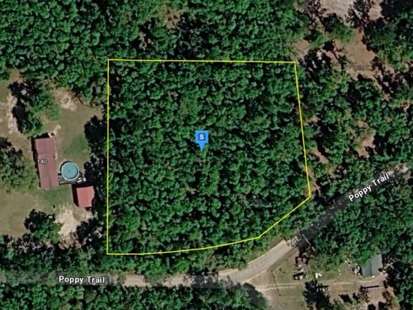 200 NE POPPY TRAIL, PINETTA, FL 32350