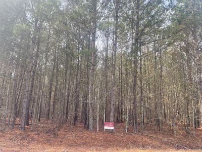 125 Roper Circle, Orangeburg, SC 29115