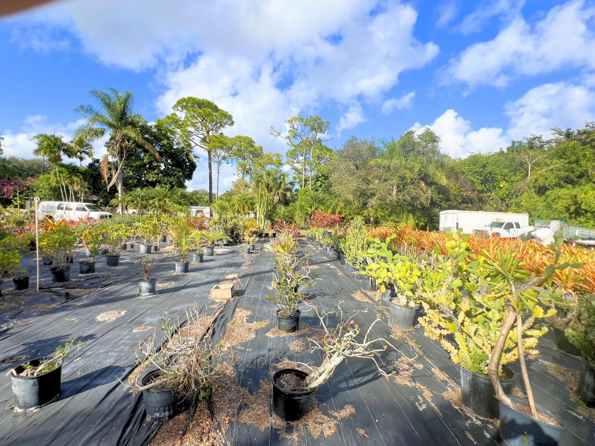 7300 NW 44th Terrace, Coconut Creek, FL 33073 Photo