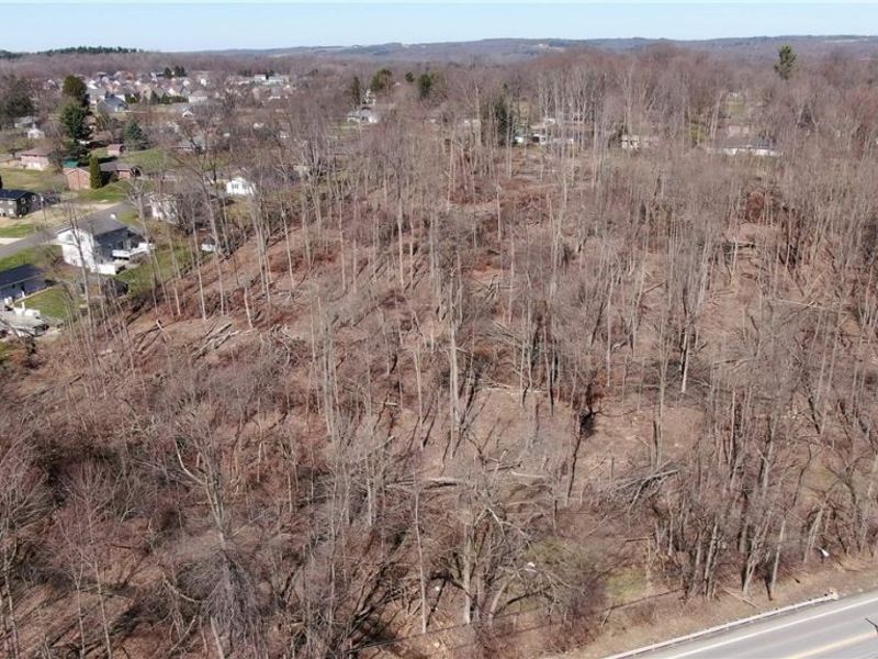 State Route 42, Lexington, OH 44904 Photo 20